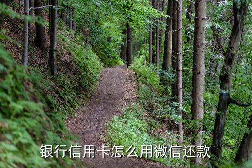 银行信用卡怎么用微信还款