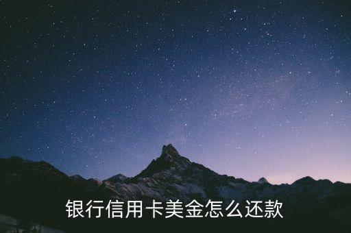 银行信用卡美金怎么还款
