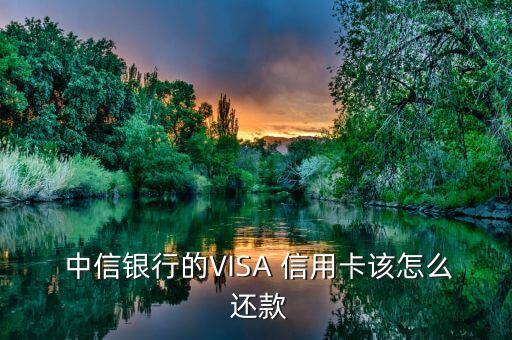  中信银行的VISA 信用卡该怎么 还款