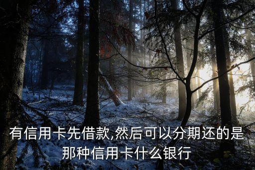 有信用卡先借款,然后可以分期还的是那种信用卡什么银行