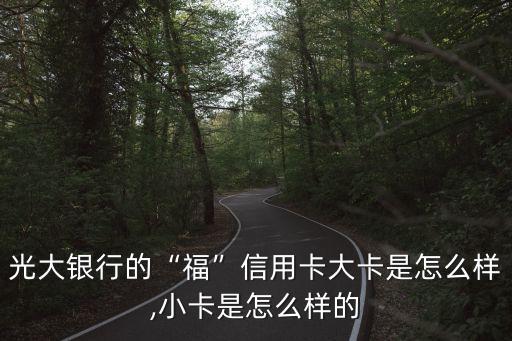 光大银行的“福”信用卡大卡是怎么样,小卡是怎么样的