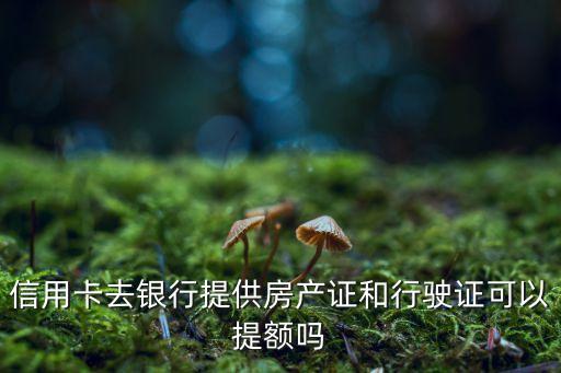 信用卡去银行提供房产证和行驶证可以提额吗