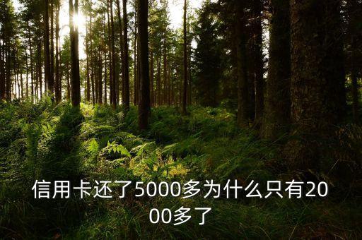 信用卡还了5000多为什么只有2000多了