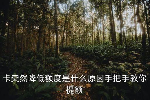 信用卡漏额度,哪张信用卡额度高
