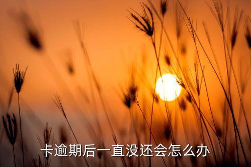 卡逾期后一直没还会怎么办