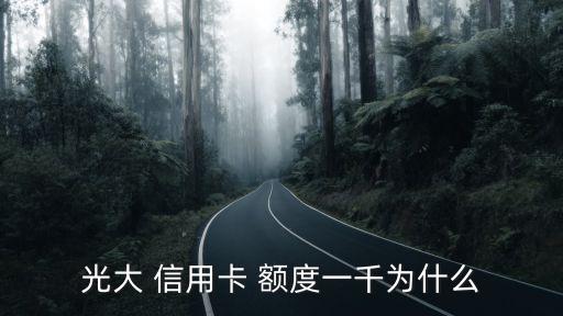 光大 信用卡 额度一千为什么