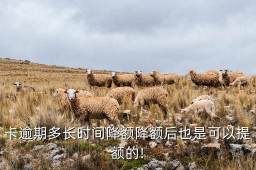 卡逾期多长时间降额降额后也是可以提额的!