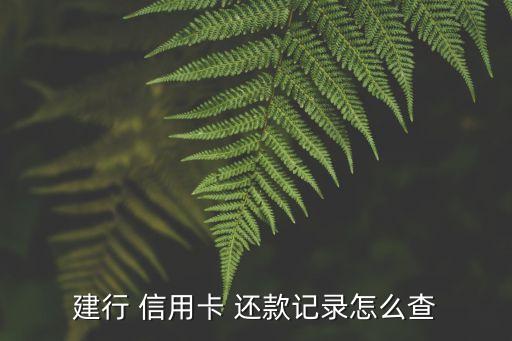 建行 信用卡 还款记录怎么查