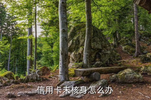信用卡未核身怎么办
