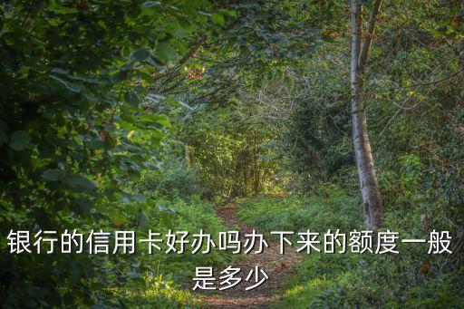 银行的信用卡好办吗办下来的额度一般是多少