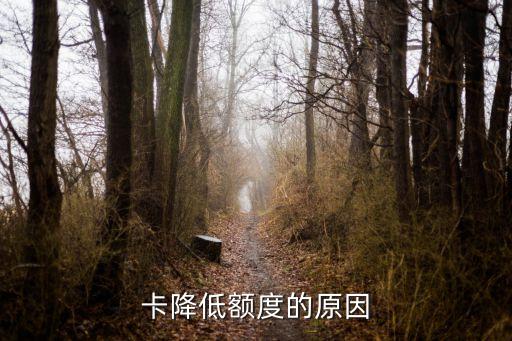 卡降低额度的原因