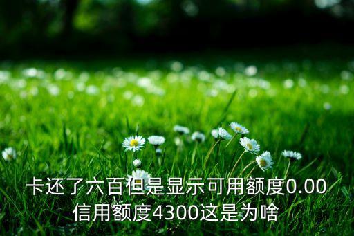 信用卡刚还款可用额度,信用卡被退回后,可用额度减少