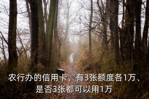 农行办的信用卡、有3张额度各1万、是否3张都可以用1万