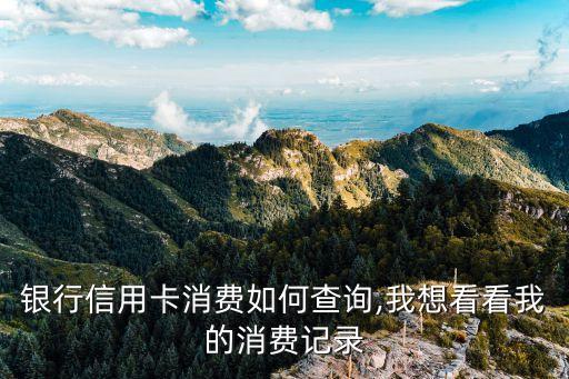 银行信用卡消费如何查询,我想看看我的消费记录