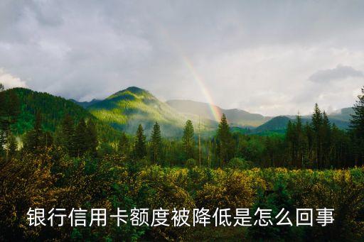 信用卡用得少额度降低,我把信用卡额度降到了0元