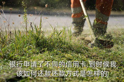.银行申请了不同的信用卡,到时候我该如何还款还款方式是怎样的