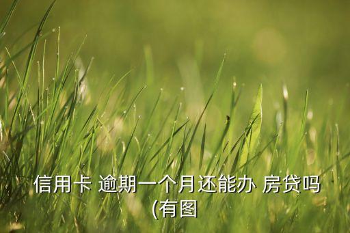 信用卡逾期  申请房贷