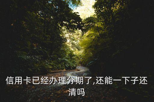 信用卡分期以后还能全还吗,分期还款的信用卡还能用吗