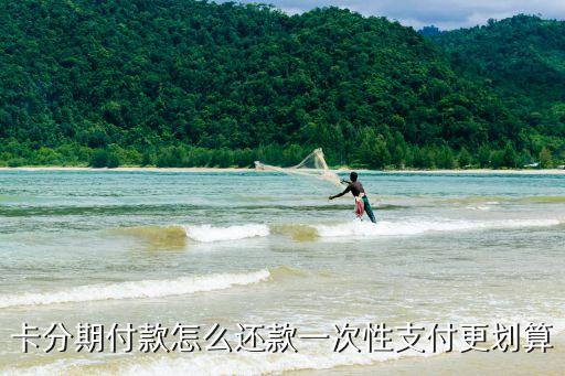 卡分期付款怎么还款一次性支付更划算