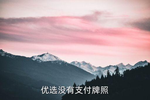 九色优选信用卡还款技巧,阿美更喜欢用信用卡还款