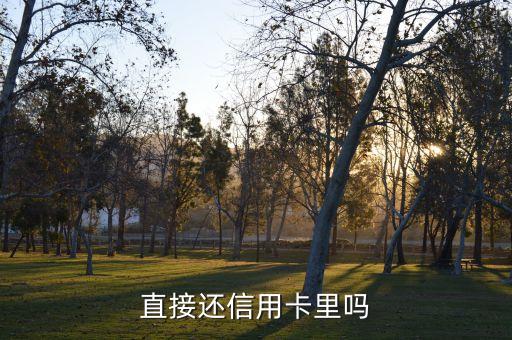 直接还信用卡里吗