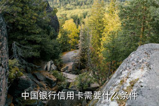 中国银行信用卡需要什么条件