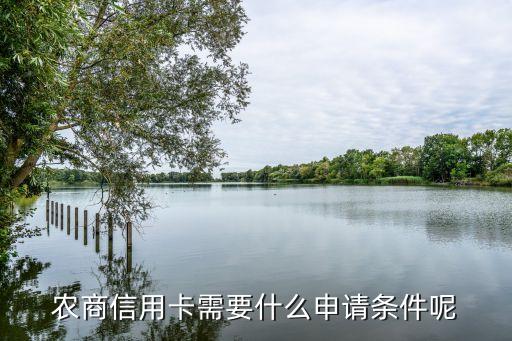 发农商银行信用卡申请,农村商业银行信用卡申请条件