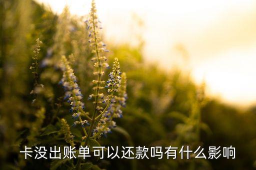 信用卡先还款还是先出账,信用卡还是贷款先