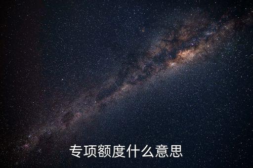 专项额度什么意思