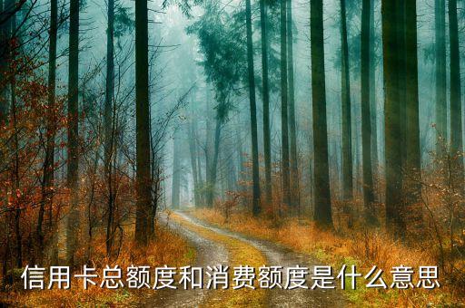 信用卡授信总额与已用额度,国家信用卡总授信额度