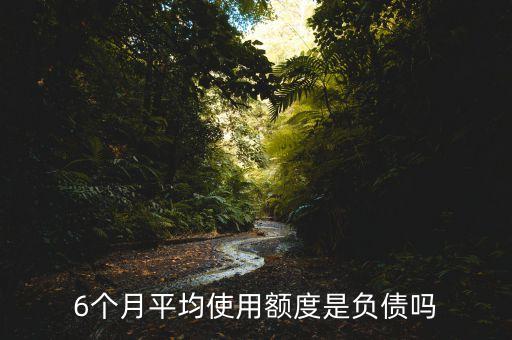 6个月平均使用额度是负债吗