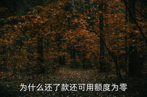 为什么还了款还可用额度为零
