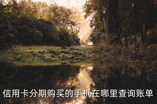 信用卡分期购买的手机在哪里查询账单