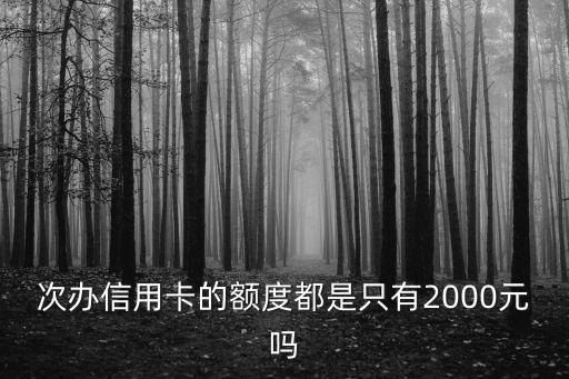 次办信用卡的额度都是只有2000元吗