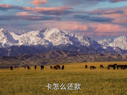 卡怎么还款
