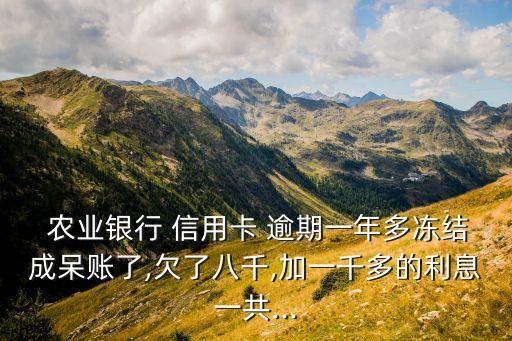  农业银行 信用卡 逾期一年多冻结成呆账了,欠了八千,加一千多的利息一共...