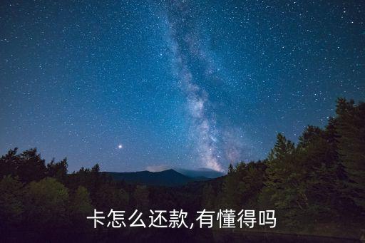 卡怎么还款,有懂得吗