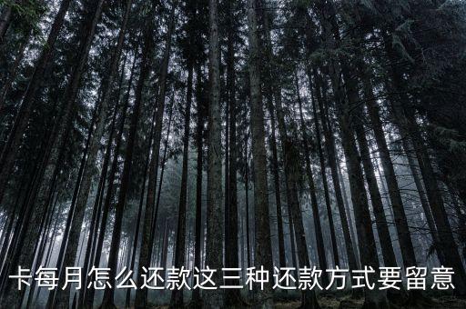 卡每月怎么还款这三种还款方式要留意