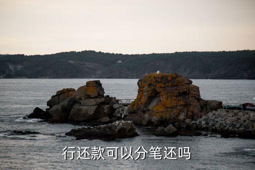 行还款可以分笔还吗