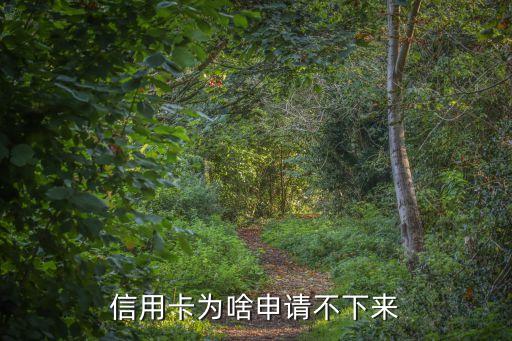信用卡为啥申请不下来