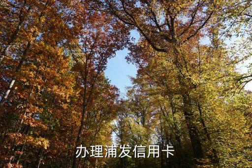办理浦发信用卡