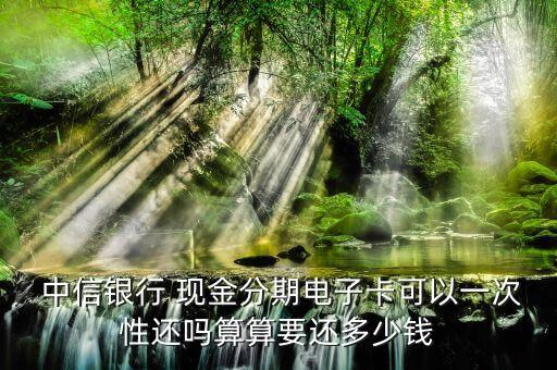  中信银行 现金分期电子卡可以一次性还吗算算要还多少钱