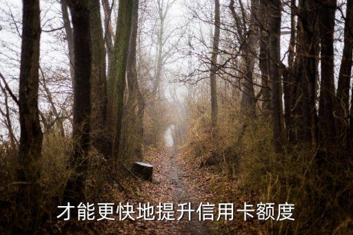 才能更快地提升信用卡额度