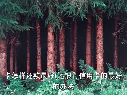 卡怎样还款最好(还银行信用卡的最好的办法