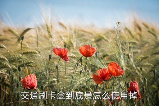 交通银行信用卡消费资金