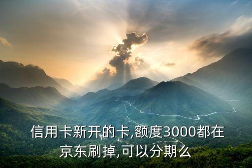 东京信用卡可以分期不