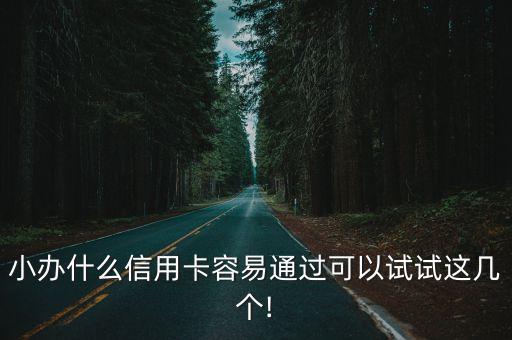 小办什么信用卡容易通过可以试试这几个!