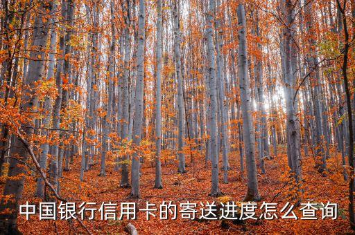 中国银行信用卡的寄送进度怎么查询