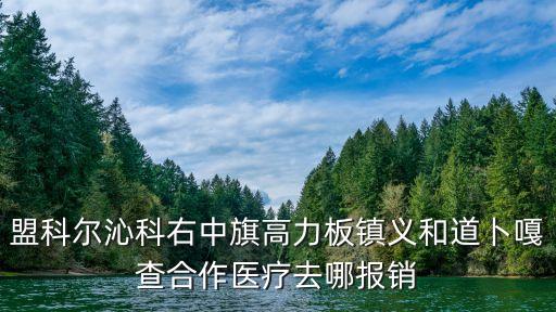 盟科尔沁科右中旗高力板镇义和道卜嘎查合作医疗去哪报销