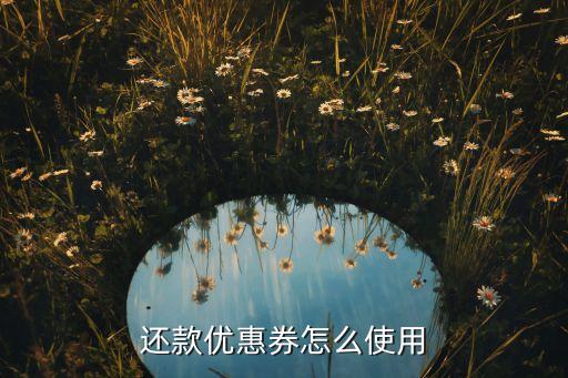 还款优惠券怎么使用